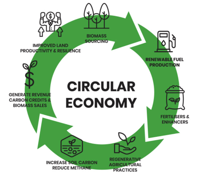circular economy graphic